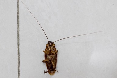 5C4A0260