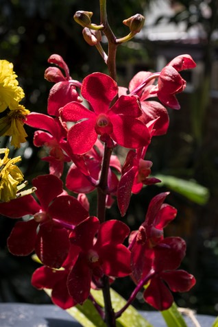 5C4A0353