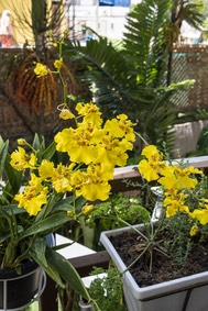 5C4A0364