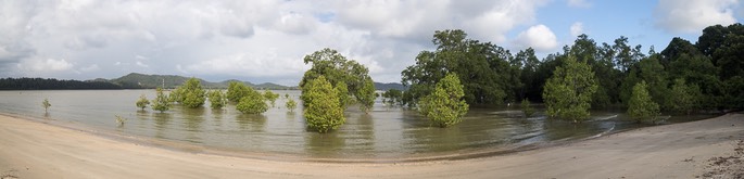 5C4A0543-Pano