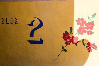 5C4A6600