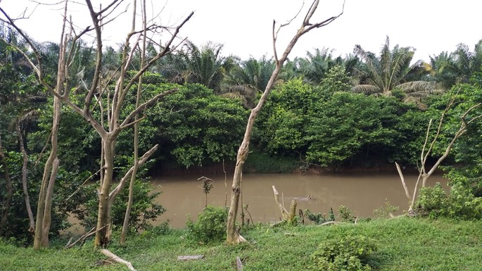 88e6638b-1b2d-4b7a-b2d5-10ffa105933e