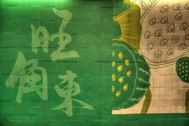 MG 0574 5 6