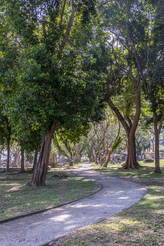  MG 3844-HDR