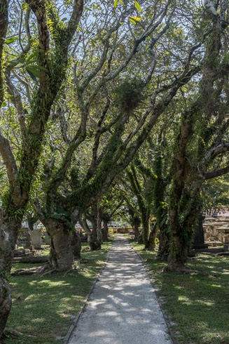  MG 3854-HDR