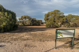  MG 5813-HDR