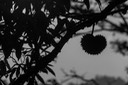  MG 6589