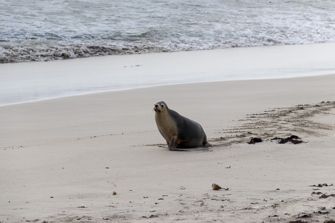  MG 7004