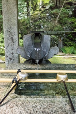  MG 9774