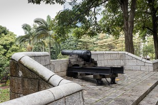  MG 9881