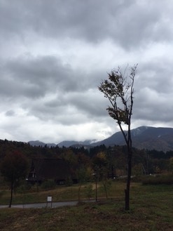 grey morning