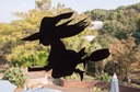 IMG 0013