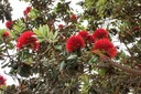 IMG 0052