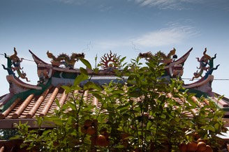 IMG 0122