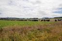IMG 0166