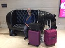 IMG 0206