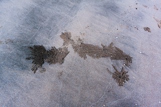 IMG 0247