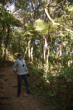 IMG 0287