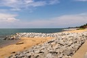 IMG 0300