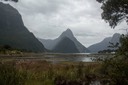 IMG 0313