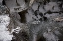 IMG 0375