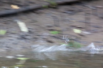 IMG 0430