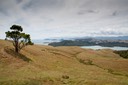 IMG 0477