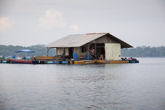 IMG 0478
