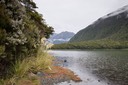 IMG 0496