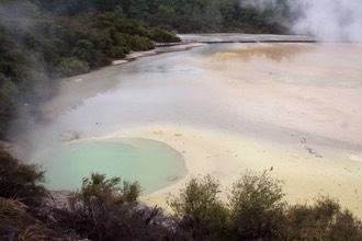IMG 0542