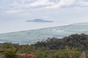 IMG 0568