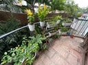 IMG 0595