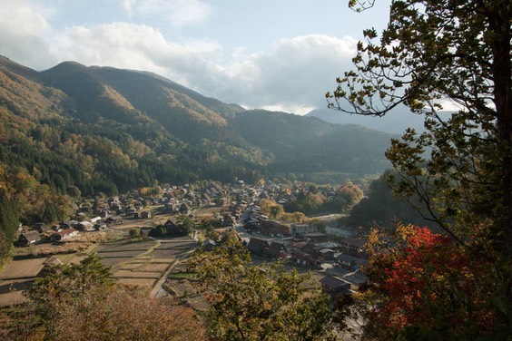 IMG 0596