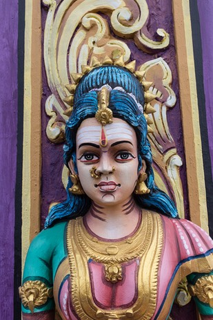 IMG 0705