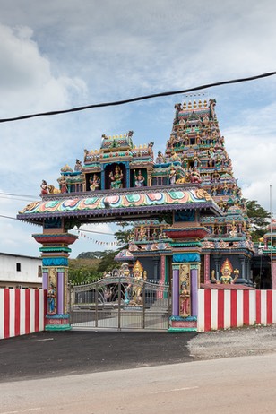 IMG 0711