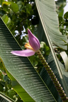 IMG 0718