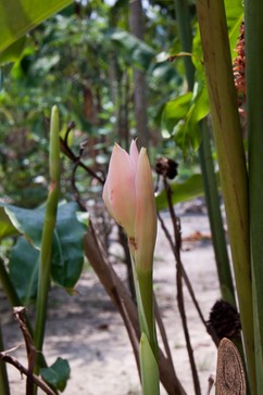 IMG 0735