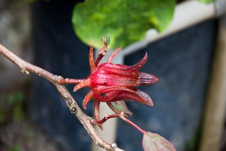 IMG 0754