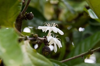 IMG 0778