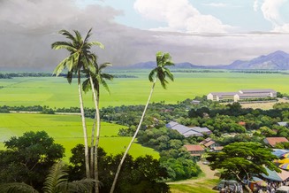 IMG 0784