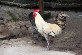 IMG 0805