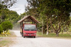 IMG 0824