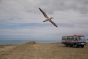 IMG 0834