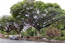 IMG 0925