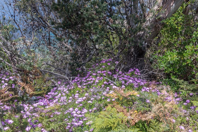IMG 3190-HDR
