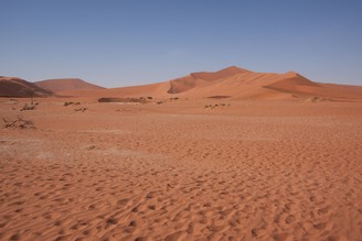 IMG 3605