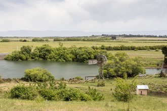 IMG 3621