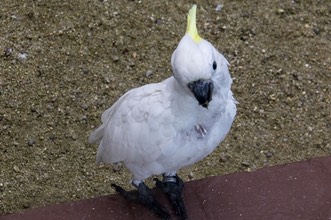 IMG 3622
