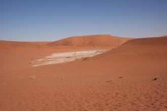 IMG 3623