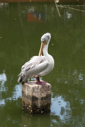 IMG 3659